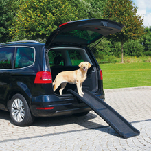 Lightweight Plastic Pet Folding Ramp Dog Vehicle Nonslip Ramp