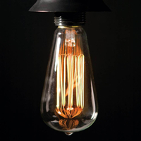 Decorative Lighting Bulbs Vintage Industrial Style Light Bulbs St64 Edison Bulb