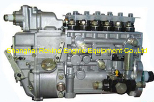 BP20046 612601080755 Longbeng fuel injection pump for Weichai WP10D238E200