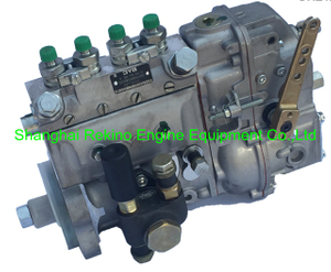 2232488KY 10400874061 BYC fuel injection pump for DEUTZ F4L912
