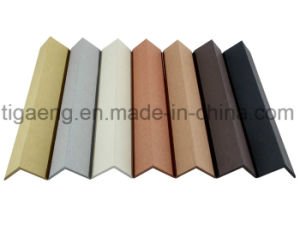 Decking en plastique en bois du compos&eacute; WPC d'installation commode recyclable pour l'Europe