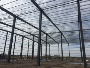 Le poids l&eacute;ger a pr&eacute; con&ccedil;u le mod&egrave;le d'entrep&ocirc;t de structure de garage/en m&eacute;tal