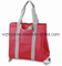 Eco-Friendly Nonwoven Shopping Bag (LYN49)