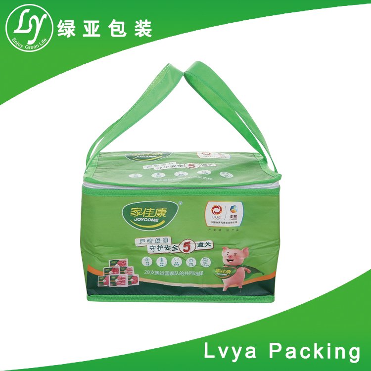 OEM customized wholesale insulated ice bag / cooler bag