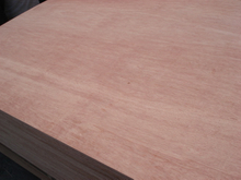 commercial plywood with bintangor film 
