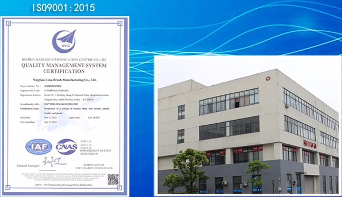 LikeBrush got ISO9001 Quality Management System Certification in 2018