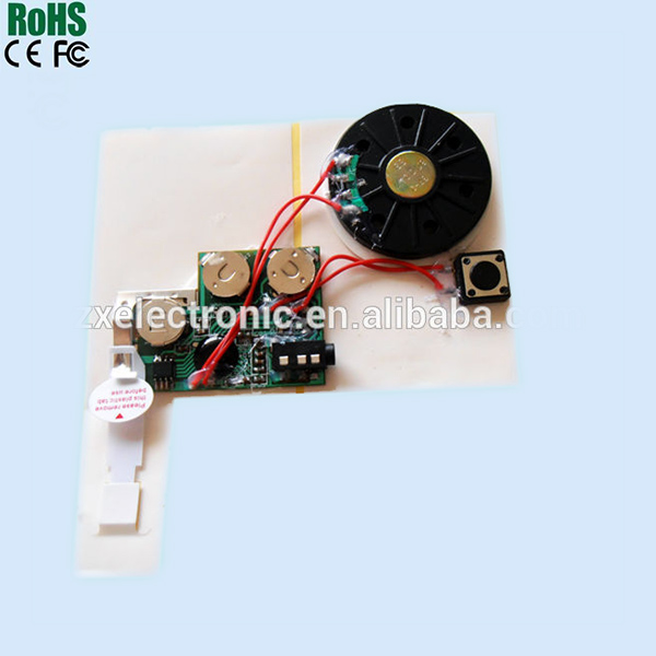 Recordable Sound Module With USB