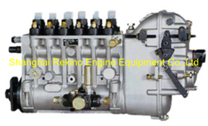 BP20030 612601080778 Longbeng fuel injection pump for Weichai WP10D238E201