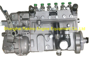 13020436 10402376154 BYC fuel injection pump for Weichai TBD226B-6 (WP6D)