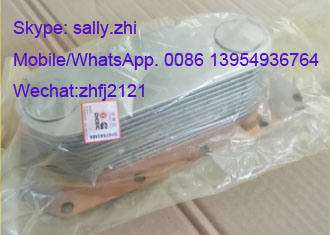 Oil Cooler C3974815 /4110000081018 for Dcec 6bt5.9 Diesel Engine