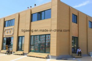 WPC en dehors de compos&eacute; en plastique d'&eacute;tage/respectueux de l'environnement en bois d&eacute;corent le plancher de Decking/DIY WPC