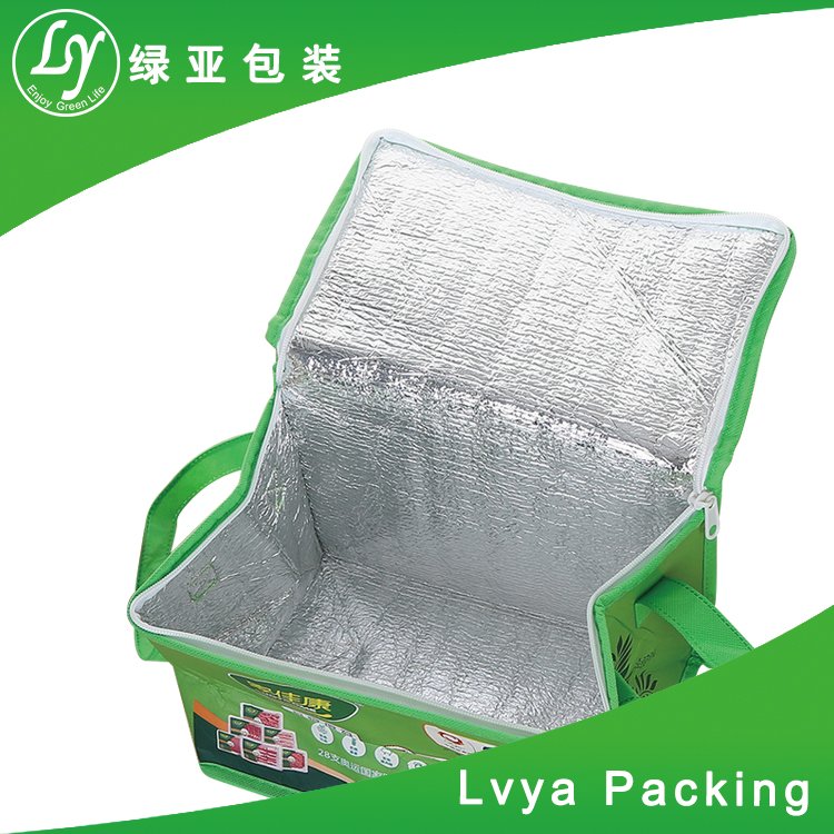 OEM customized wholesale insulated ice bag / cooler bag
