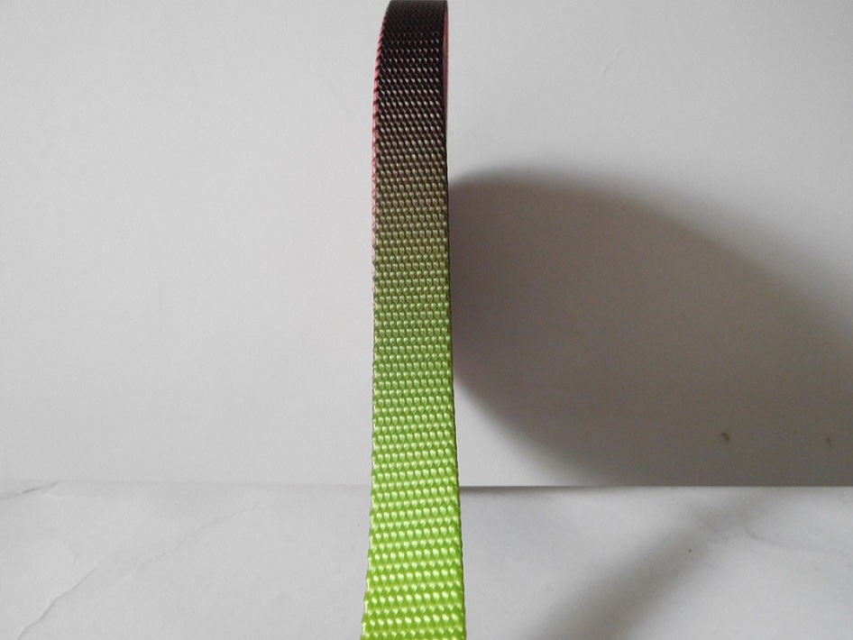 18mm multicolour nylon webbing for dog belt