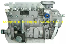 13053063 B6AD548G-R Weichai Nanyue NYC fuel injection pump