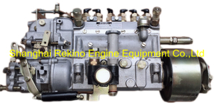 101608-9680 101060-3290 ZEXEL fuel injection pump