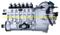 XC62.08.02.1000 BHT6P9180R6179 BP6093 Fuel injection pump Weichai engine parts CW200 CW6200 CW8200