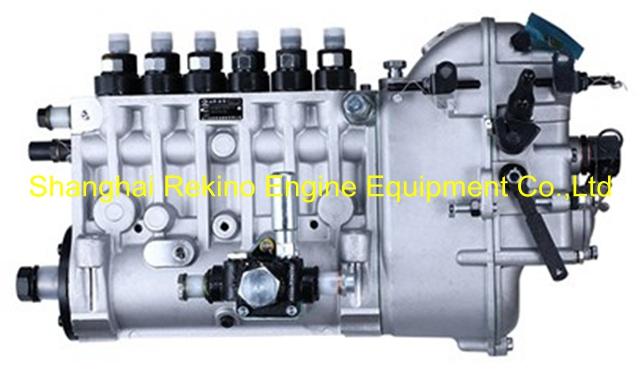 XC62.08.02.1000 BHT6P9180R6179 BP6093 Fuel injection pump Weichai engine parts CW200 CW6200 CW8200