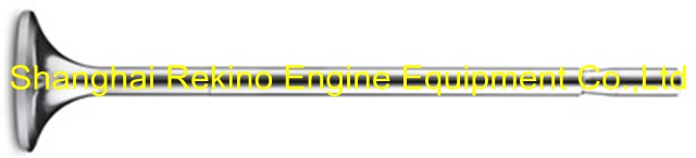 320.01.11B intake valve Guangchai marine engine parts 320