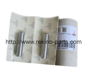 Deutz BF4M1013 BF6M1013 Valve guide 04201238 04501798