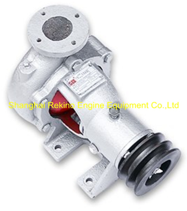 8N17-94-000 N17-94-000 Sea water pump Ningdong engine parts for N170 N6170 N8170