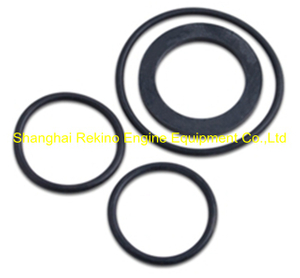 N21-QDFJQ Starting valve seal ring Ningdong engine parts for N210 N6210 N8210