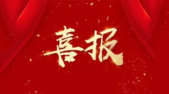 江苏贝德莱特太阳能科技有限公司董事长张同伟荣获常州市科技企业家称号