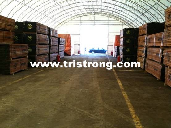 Super Large Temporary Workshop, Super Strong Trussed Frame Warehouse (TSU-49115)