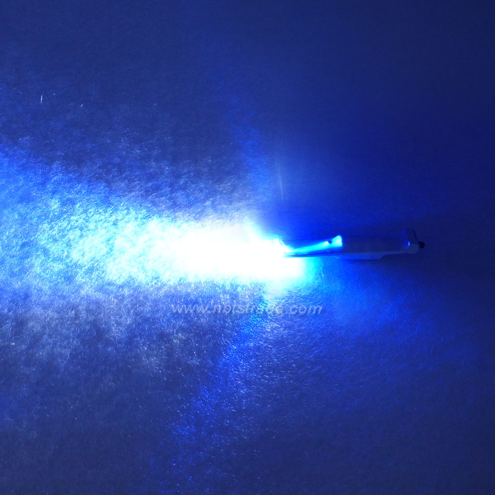 LED Fishing Light with Double Lamps 