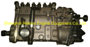 13021363 B6AD296 NYC Nanyue Weichai fuel injection pump for WP6
