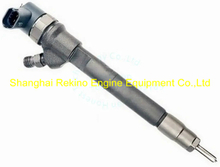Common rail diesel fuel injector 0445110502
