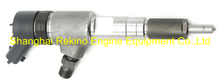 Common rail fuel injector 0445110511