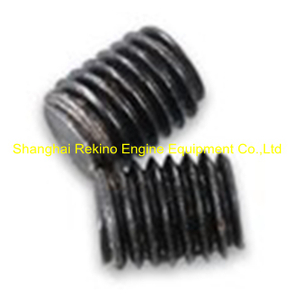 N.06.008A Screw plug Ningdong engine parts for N160 N6160 N8160
