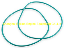 330-01-012 Exhaust valve seat seal ring Ningdong engine parts for DN330 DN6330 DN8330