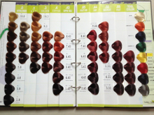 54 Colors Vb Salon Hair Color Chart