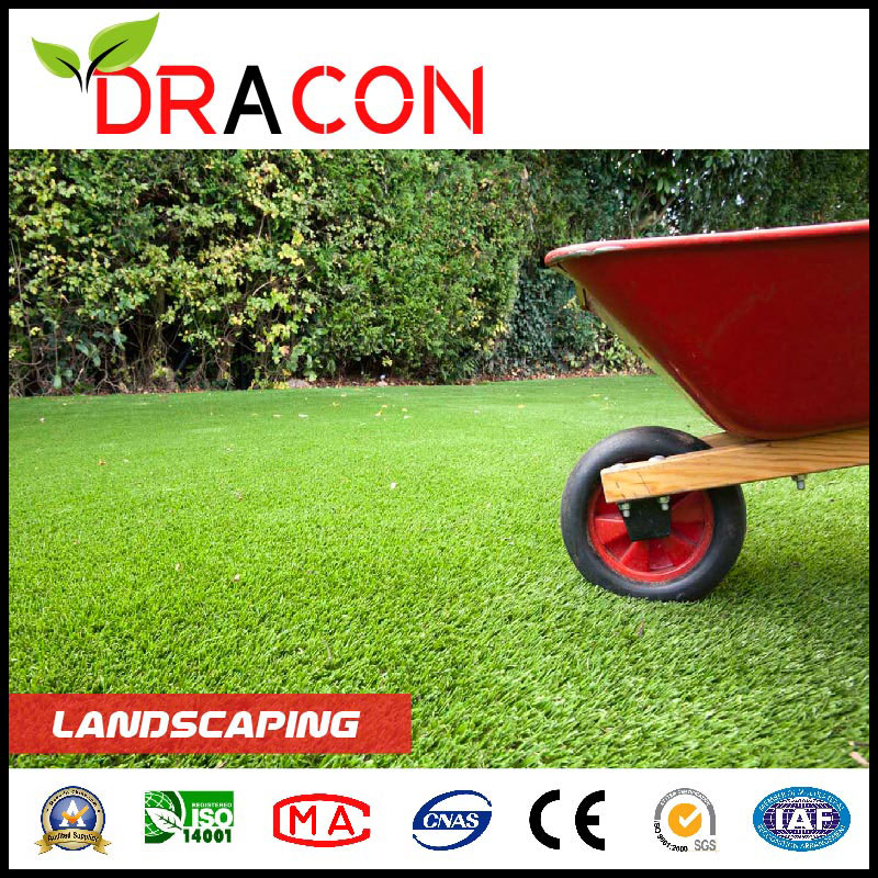 Maintenance of Artificial Lawn