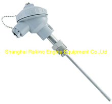WZPK-280 JNDZ Thermal Resistance Temperature Detector （RTD)