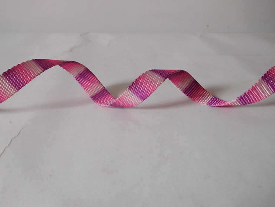 China Nylon webbing with thermal transfer printing for dog belt