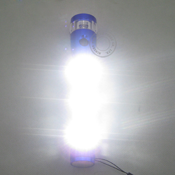 Multi Function Solar LED Flashlight with Work Light
