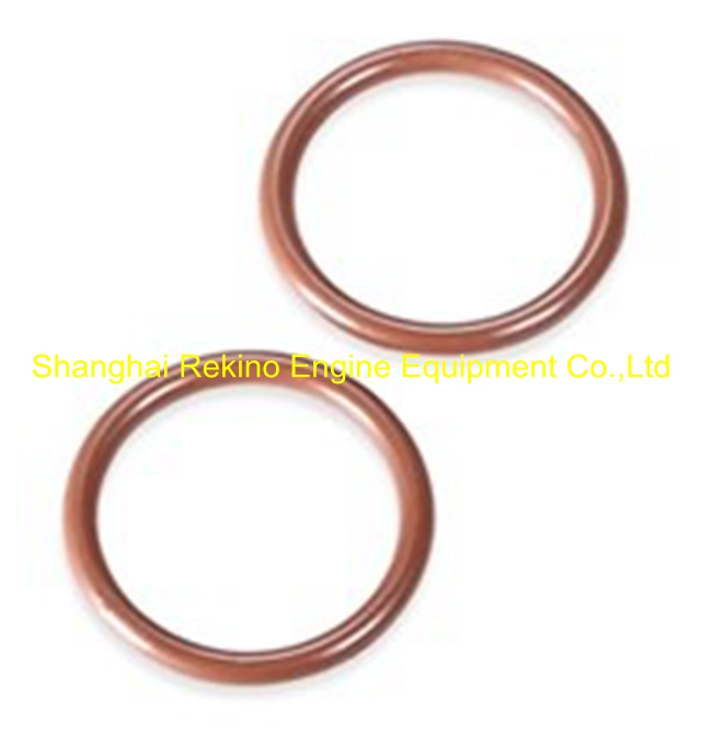 C62.05.01.0005 O ring Weichai engine parts for CW200 CW6200 CW8200