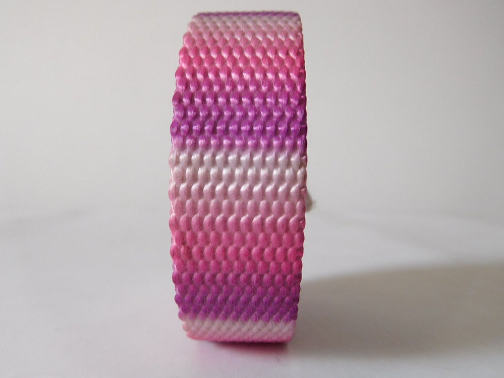 China Nylon webbing with thermal transfer printing for dog belt