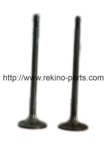 Intake valve 610800050049 for Weichai WP7