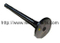 Cummins KTA19 K19 Exhaust valve 3035110