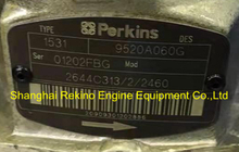 9520A060G 2644C313 Delphi Perkins fuel injection pump