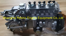 101602-8903 101062-8370 ZEXEL injection pump