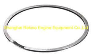 61500110011 seal ring Weichai engine parts 6170 8170 170Z