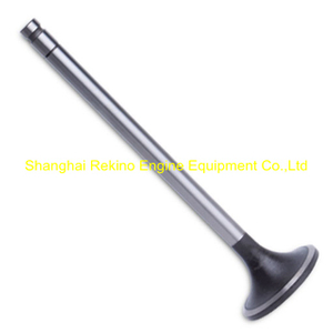 Z6170.1-44B Intake valve Zichai engine parts for Z6170 Z8170