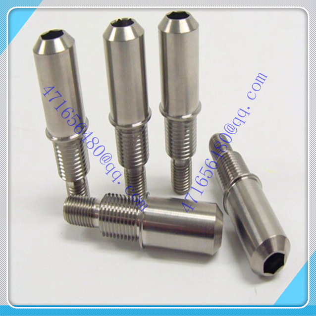 factory various titanium screws fastener