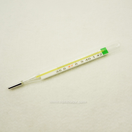  Household Mercury-free Oval Glass Thermometer 