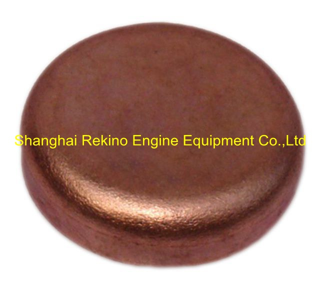 Corehole plug 170Z.03.20.09 for Weichai 6170 8170 engine parts
