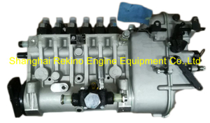 BP6105B 6170ZC.31.00 Longbeng Weichai fuel injection pump for X6170
